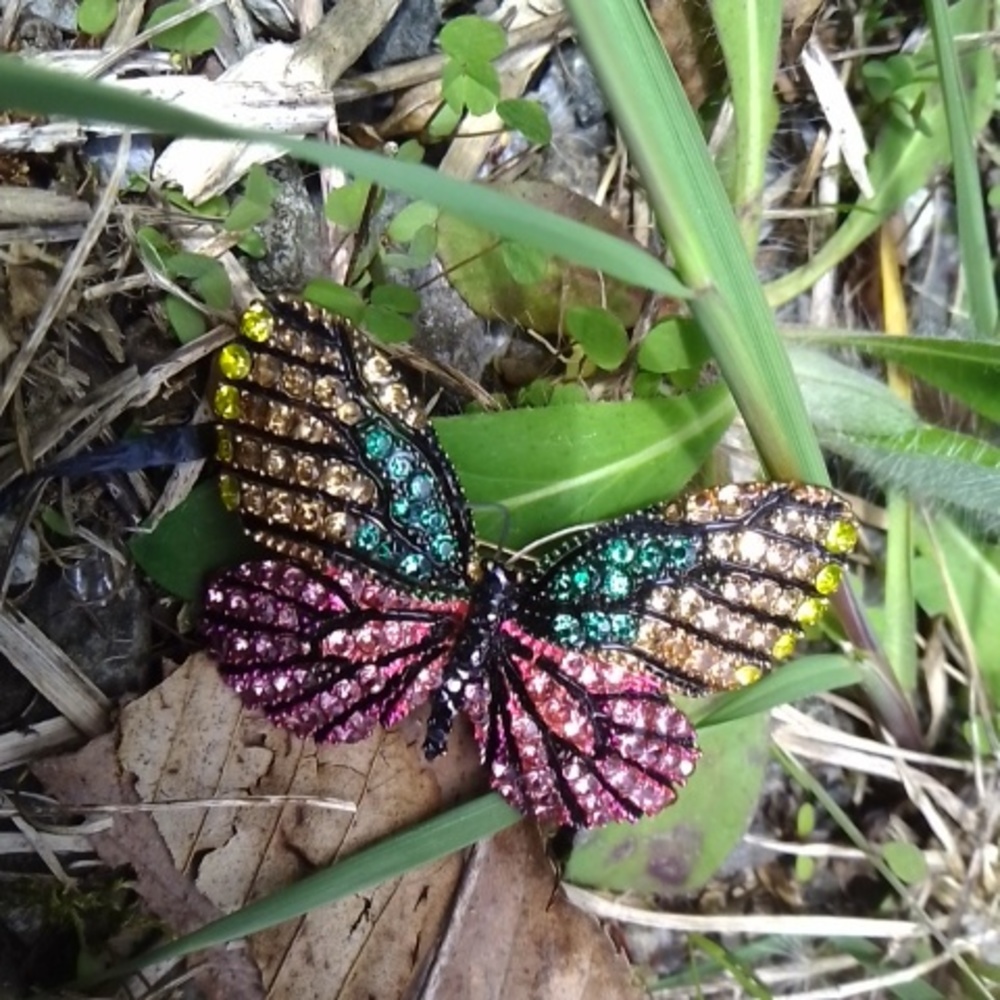 Butterfly Pin - Picture 2 of 5